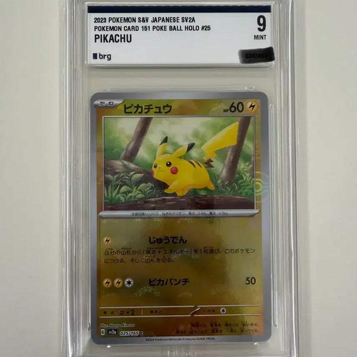 [BUNJANG] Pokémon TCG Pikachu Promo 151 BRG9 / 151 피카츄 프로모 brg9 포켓몬스터 카드