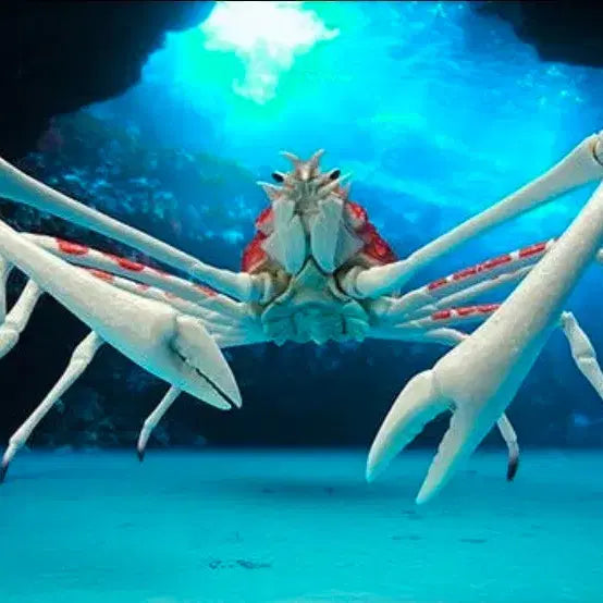 [BUNJANG] Bandai Creature Encyclopedia Crab 2 Spider Crab / 반다이 생물대도감 게 2탄 거미게 미개봉