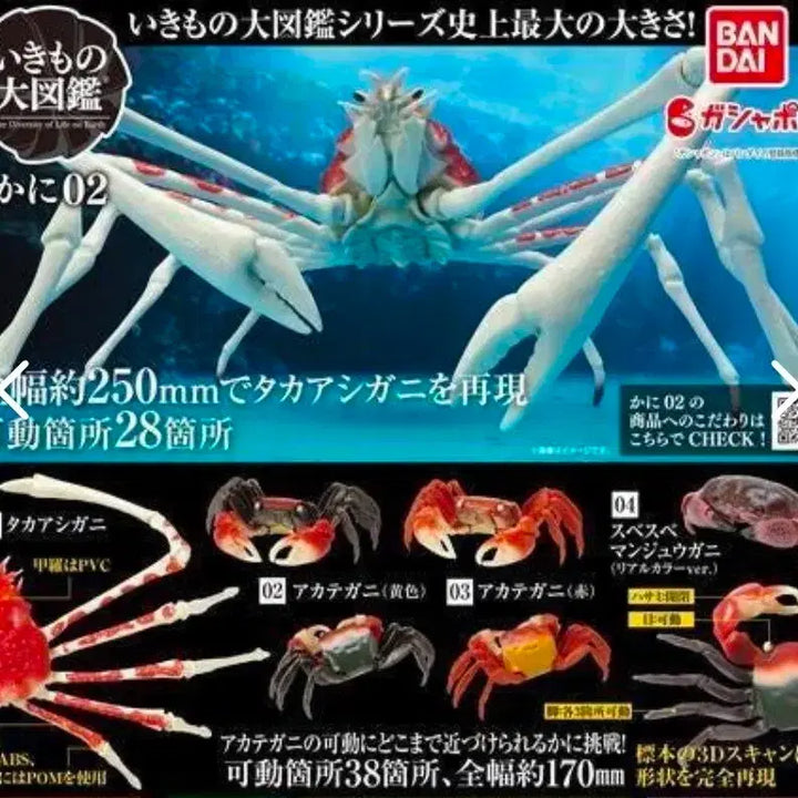 [BUNJANG] Bandai Creature Encyclopedia Crab 2 Spider Crab / 반다이 생물대도감 게 2탄 거미게 미개봉