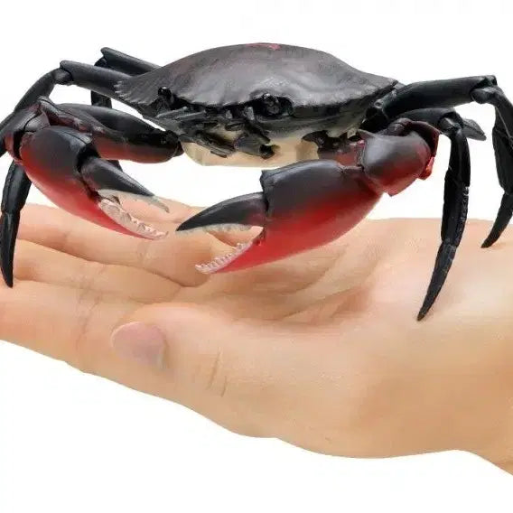 [BUNJANG] Bandai Creatures Great Encyclopedia Saw-toothed Crab Blue Crab / 반다이 생물대도감 톱날꽃게 푸른게 청게