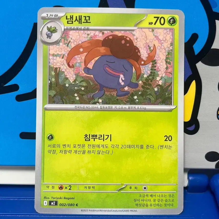 [BUNJANG] Pokemon Card 2002 Nuzleaf / (포켓몬카드) 냄새꼬 2002/080 C