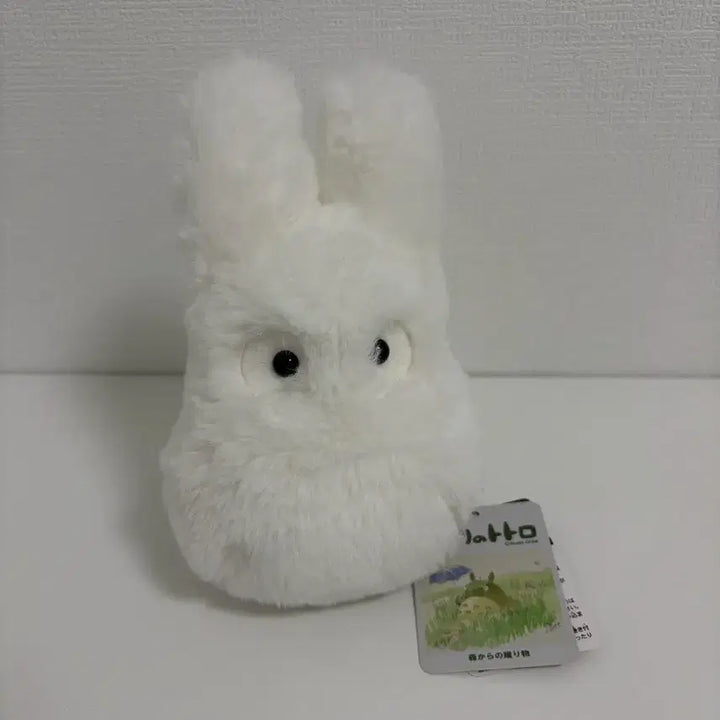 [BUNJANG] My Neighbor Totoro Totoro Plush Toy / 토토로 소 토토로 인형