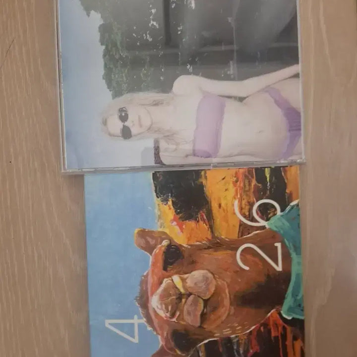 [BUNJANG] Beenzino 2426 Nowitzki Opened Bundle Set / 빈지노 2426 노비츠키