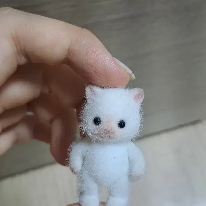 [BUNJANG] Sylvanian Families Persian Kitten Custom / 실바니안 페르시안 아기