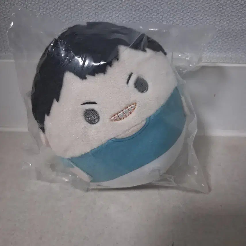 [BUNJANG] Haikyuu!! Kindaichi Fuwakororin Plush / 하이큐 킨다이치 후와코로링 인형