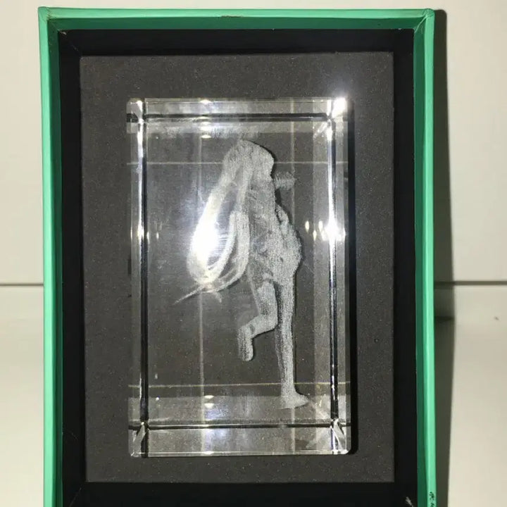 [BUNJANG] Hatsune Miku 3D Crystal Object Laser Engraved Figure / 하츠네 미쿠 3D 크리스탈 오브젝트 레이저 각인 조형물