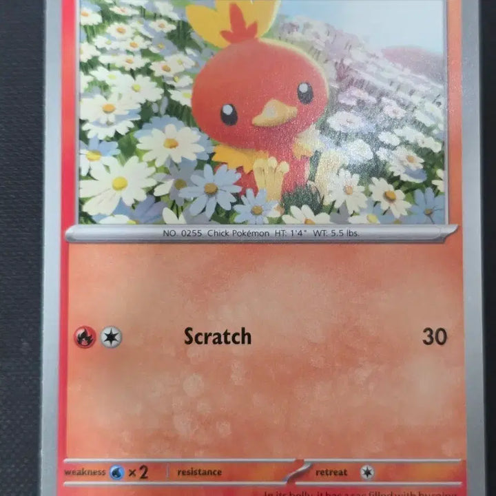 [BUNJANG] Pokemon Buldak Sauce Pikachu North American Card / (포켓몬) 불닭소스 뒤집어쓴 삐약이 북미카드