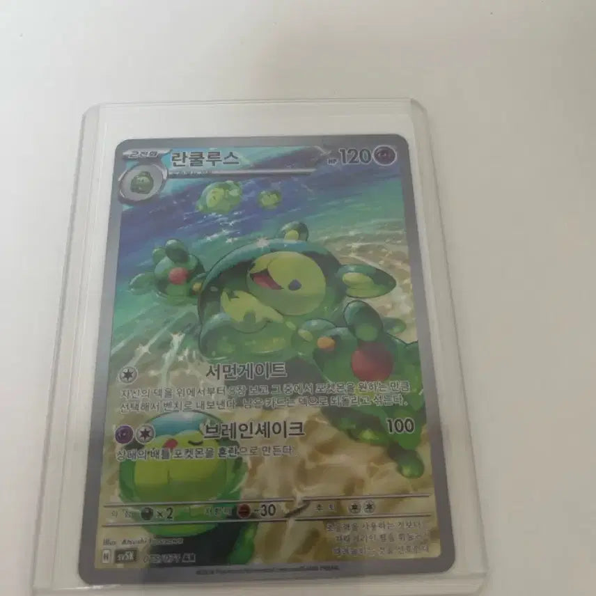 [BUNJANG] Pokemon Card Ranunculus AR / 포켓몬카드 란쿨루스 AR