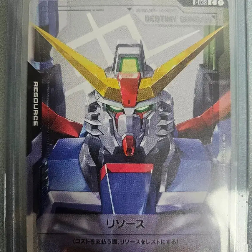 [BUNJANG] Gundam Destiny / 건담 데스티니