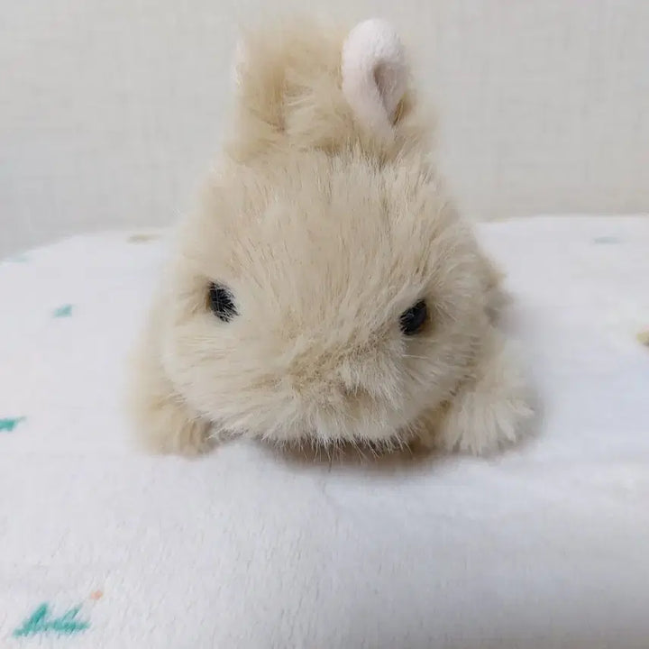 [BUNJANG] RiRi Handmade Baby Bunny Plush Doll / RiRi 리리님 수제 토끼 인형 아기토끼