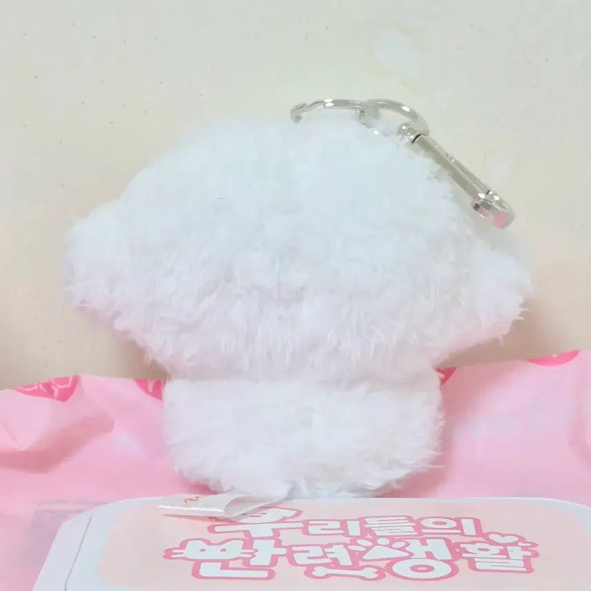 [BUNJANG] Sanrio Corgi Myung Mascot Plush Keychain / 산리오 코기뮹 마스코트 인형 키링