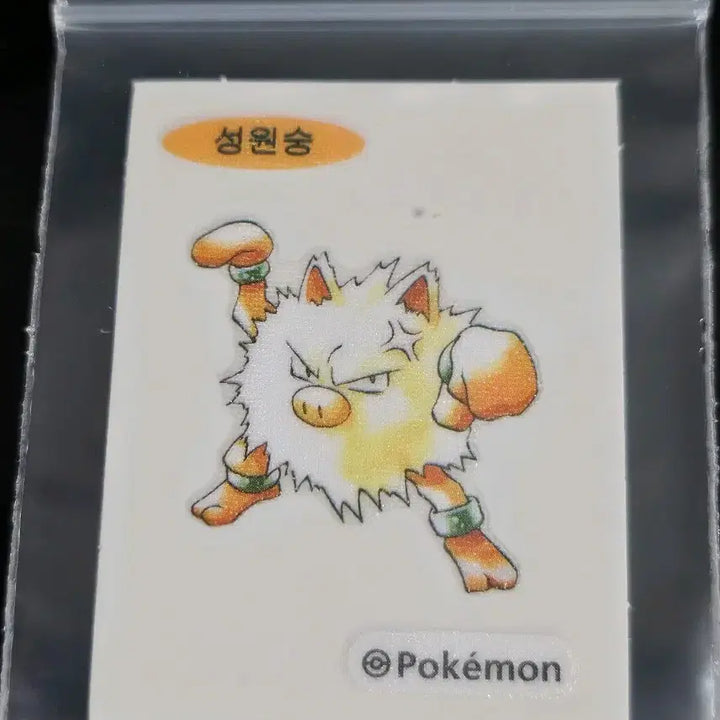 [BUNJANG] Pokemon 30th Anniversary Artwork 6-Piece Bundle Set / 포켓몬 띠부씰 30주년 아트워크 9종 일괄 팝니다