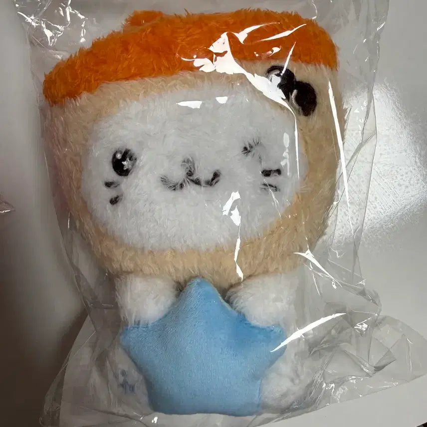 [BUNJANG] Star Wish Doll Yuushi Sealed / 미개봉 스타위시돌 유우시 양도