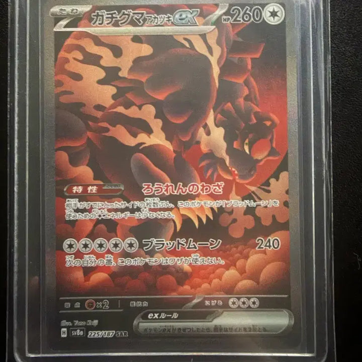 [BUNJANG] Datugom Red Moon SAR Korean Edition / 다투곰 붉은달 sar 일판 판매합니다