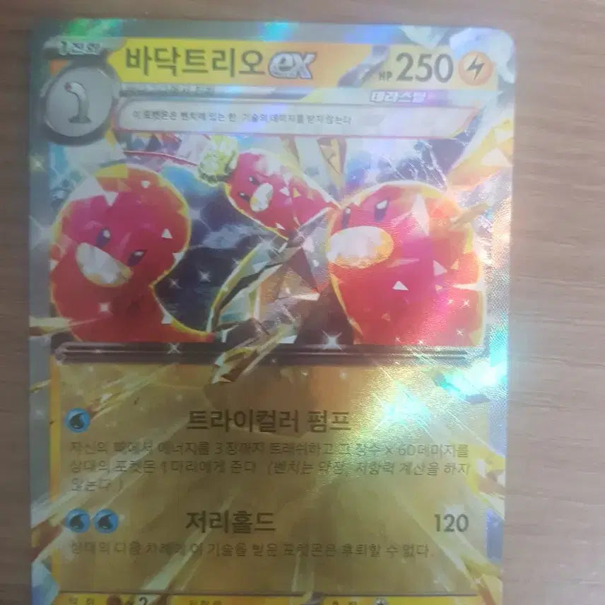 [BUNJANG] Mega Absol-EX and Mega Pidgeot-EX Pokemon Cards / 메가 아쿠스타 EX 포켓몬 카드와 메가 바닥트리오 EX 포켓몬 카드