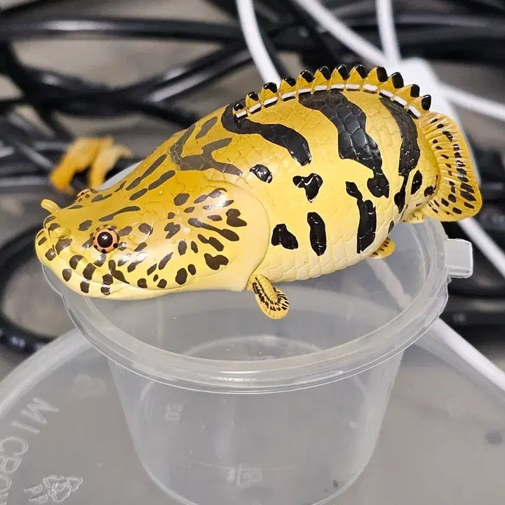 [BUNJANG] Polypterus Figure / 폴립테루스 피규어