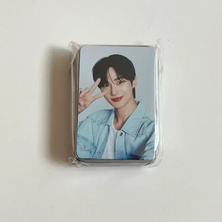 [BUNJANG] Byun Woo Seok Dachsu Photocard, Keyring Bundle Set / 변우석 다슈포카,키링 일괄