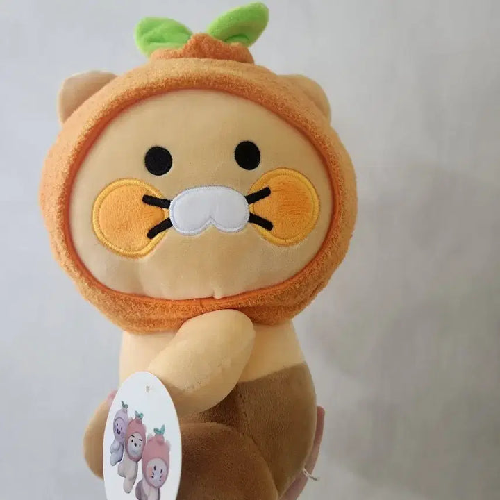 [BUNJANG] Chunsik Tangerine Hat Plush Doll / 춘식이 감귤 모자 인형