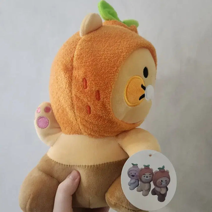 [BUNJANG] Chunsik Tangerine Hat Plush Doll / 춘식이 감귤 모자 인형