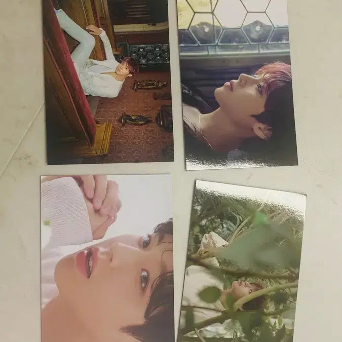 [BUNJANG] Park Jihoon &