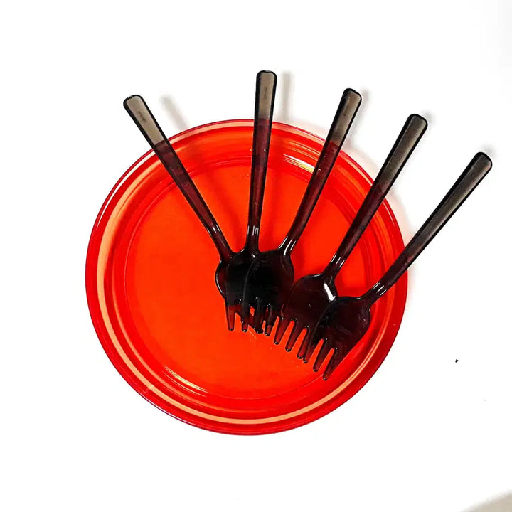 [BUNJANG] KINTO Suji Plate Set with Bonus Tutti Fork Set / [2개세트] 일본 KINTO 킨토 수지 플레이트 / tutti 포크 5개 보너스