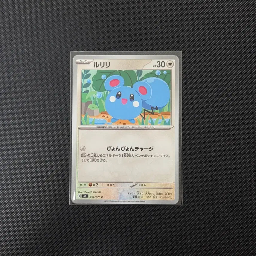[BUNJANG] Pokemon Card Riolu m6 054/076 / [포켓몬카드] (일판) 루리리 m6 054/076 도감용