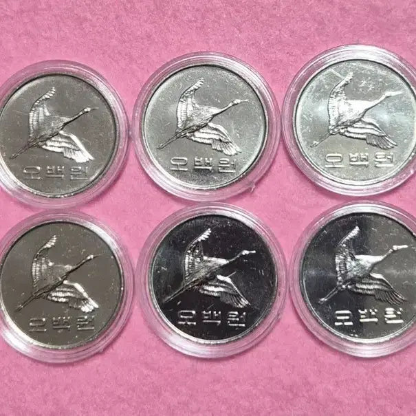 [BUNJANG] 500 Won Coin Set (2018, 2019) - 10 Pieces / 500원 동전 5개씩 10개세트 (2018, 2019년)