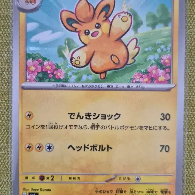 [BUNJANG] Pokemon Card Japanese Version Bamocto 067/790 / [포켓몬카드 일판] 빠모트 067/790