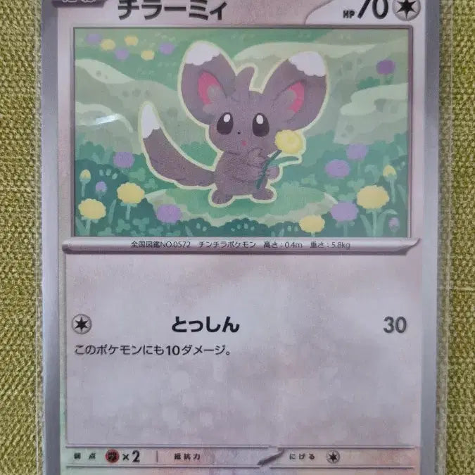 [BUNJANG] Pokemon Card Chirami 070/083 C / [포켓몬카드 일판] 치라미 070/083 C