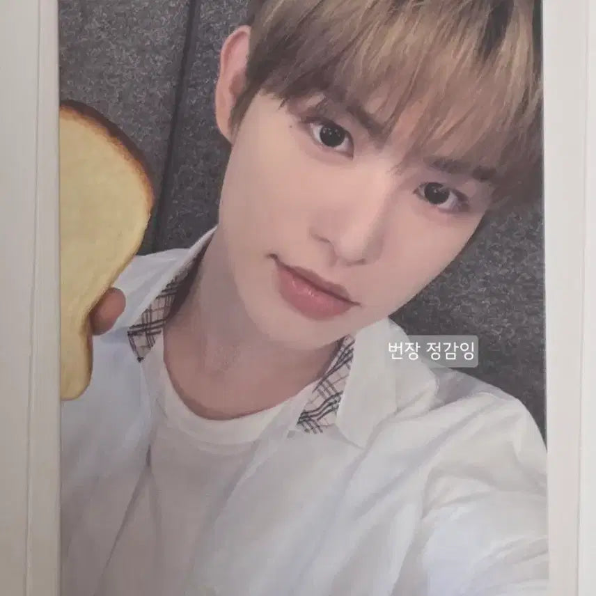 [BUNJANG] KICKFLIP Minje Makestars Bread Version Photocard / 킥플립 민제 메이크스타 식빵버전