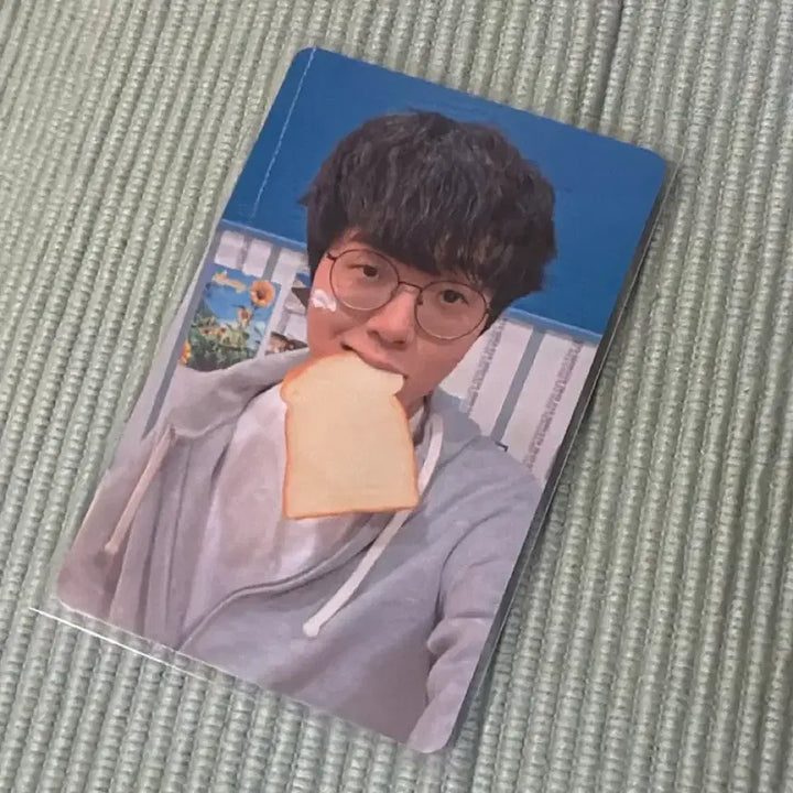 [BUNJANG] Brion Teddy Bread Photocard &amp; Peach Postcard / 브리온 테디 빵 포카 &amp; 복숭아 엽서 판매