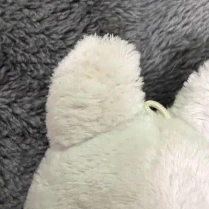 [BUNJANG] Mini Vini Plush / 미니비니
