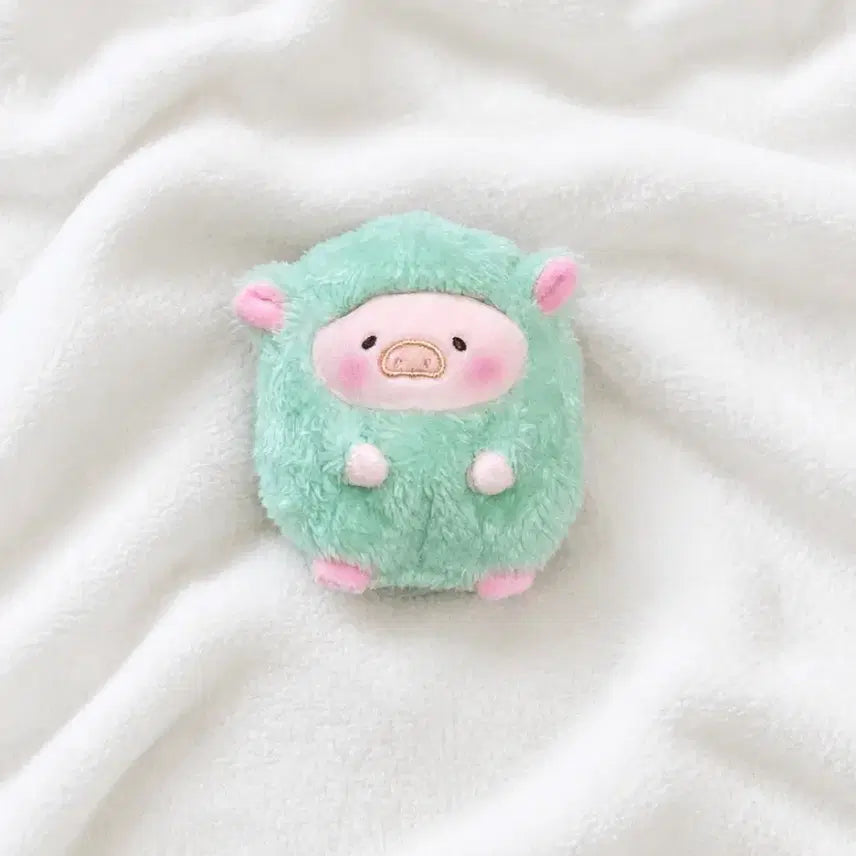 [BUNJANG] Rororpig Rainbow Mint Item / 루루더피기 레인보우 민트