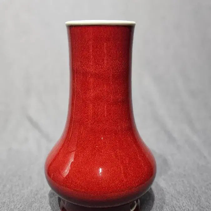 [BUNJANG] Qing Dynasty Hongyouguang Vase / 강희제홍유광구병