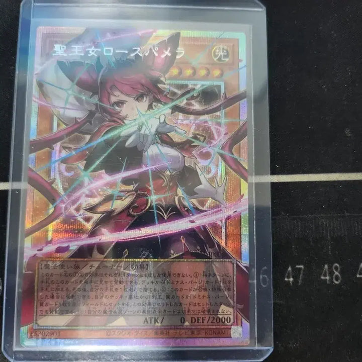 [BUNJANG] Dominastia Rose Pamela PSE Overframe Card / 도미나스티아 로즈파멜라 PSE오버프레임