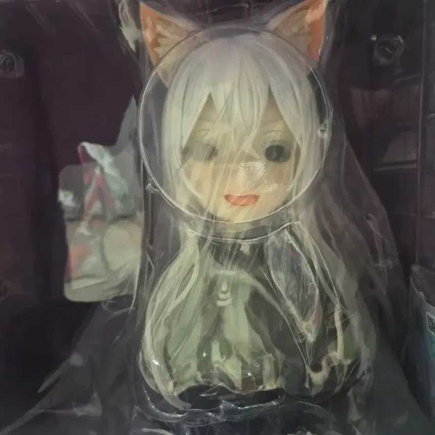 [BUNJANG] Re:Zero Echidna Bust Figure Last One (Sealed) / (미개봉) Re:제로부터 에키드나 흉상 라스트원