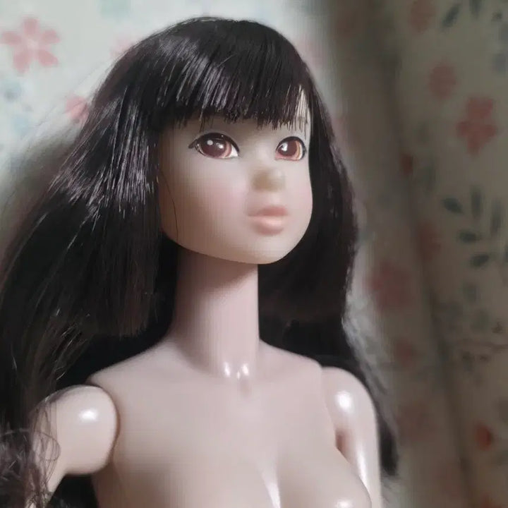 [BUNJANG] Momoko Doll Practice Mannequin / 모모꼬 인형 연습 마네킹, momoko doll