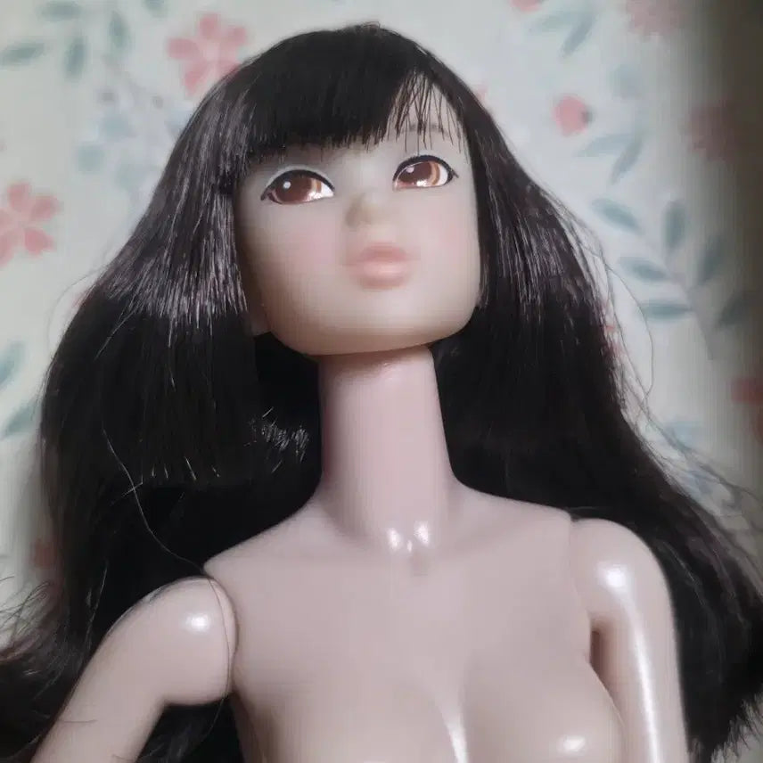 [BUNJANG] Momoko Doll Practice Mannequin / 모모꼬 인형 연습 마네킹, momoko doll