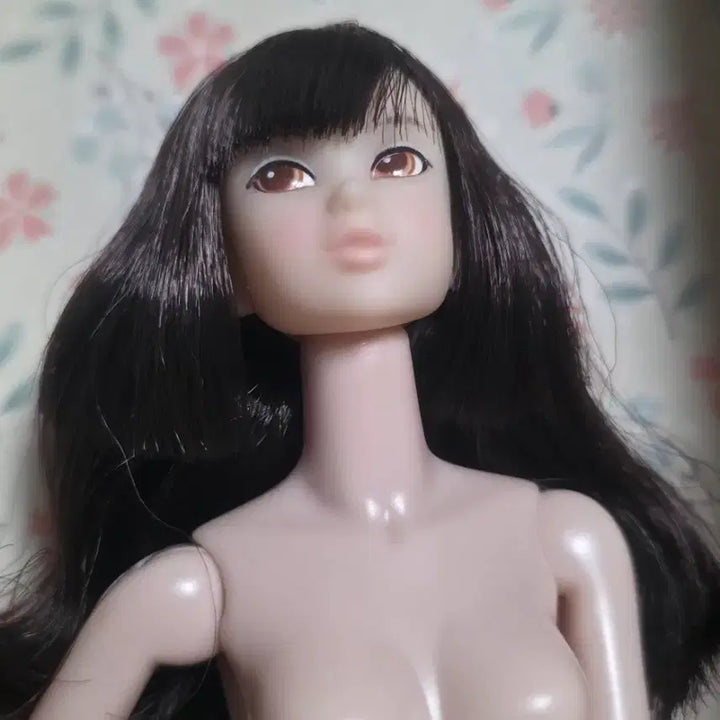 [BUNJANG] Momoko Doll Practice Mannequin / 모모꼬 인형 연습 마네킹, momoko doll