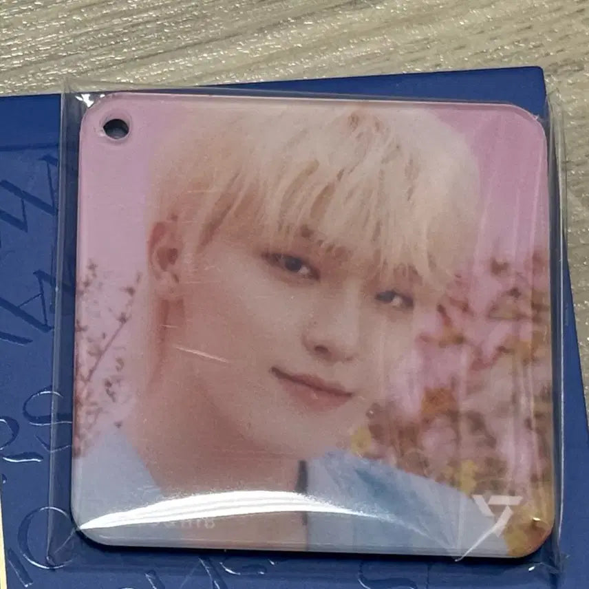 [BUNJANG] SEVENTEEN Star Fox Chocolate Collaboration Dino Magnet (Sealed) / 세븐틴 마그넷 스타폭스 초콜릿 콜라보 디노