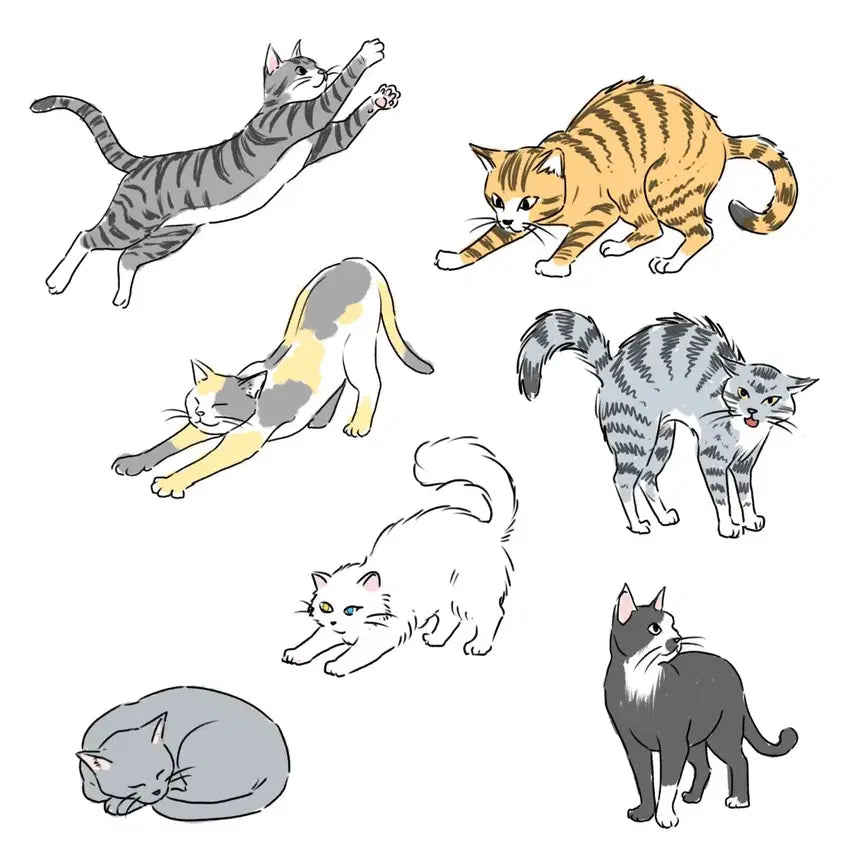 [BUNJANG] Pet Portrait Commission (500 KRW) / 반려동물 500원에 그려드립니다