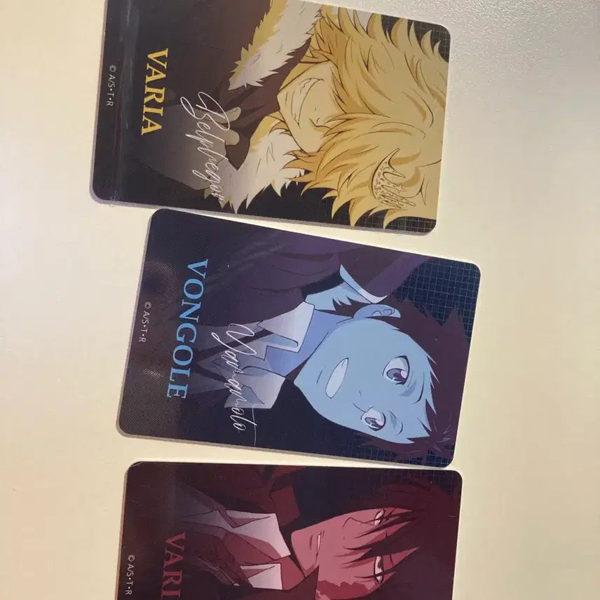 [BUNJANG] Reborn! Character Cards Set (Belphegor, Yamamoto Takeshi, Xanxus) / ㄱ가정교사 히트맨 리본 카드 3종 (벨페고르, 야마모토 타케시, 잔스) 가히리