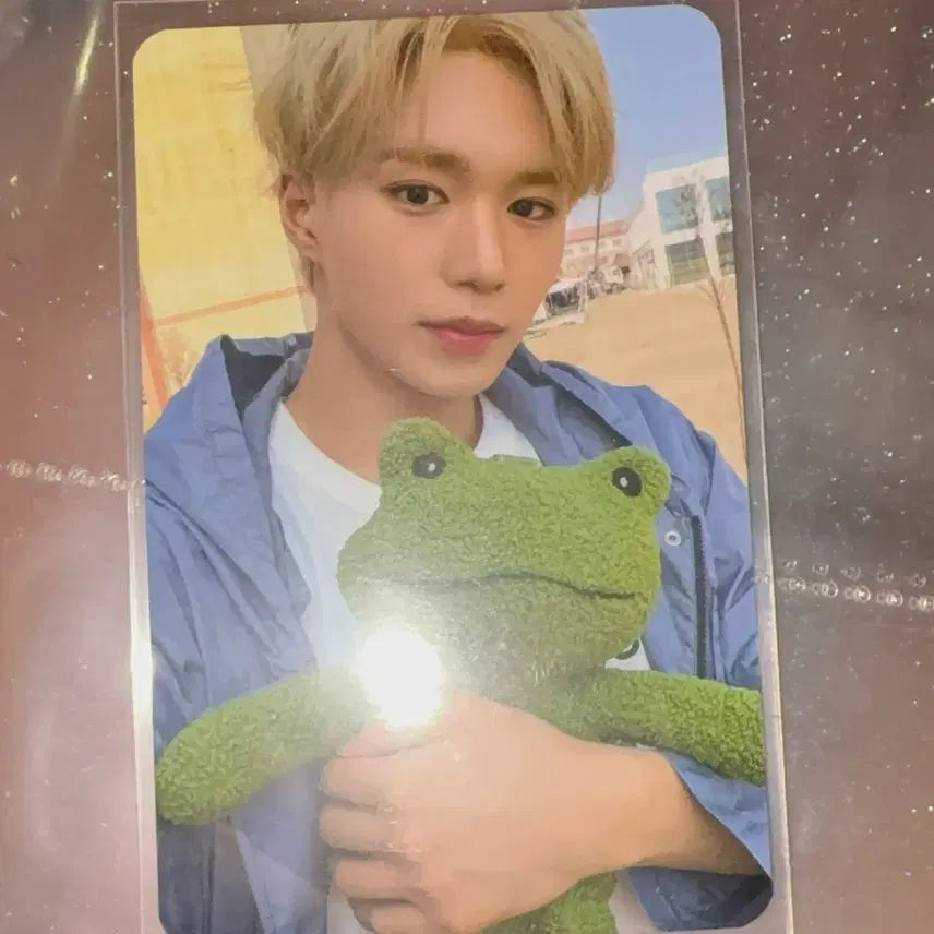 [BUNJANG] ALDI ONE Junseo Elize Zone Photocard / 알디원 준서 앨리즈존 포카