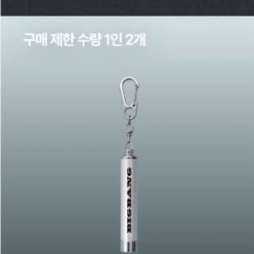 [BUNJANG] BIGBANG Taeyang LED Keychain Silver / 빅뱅 태양 LED 키링 실버