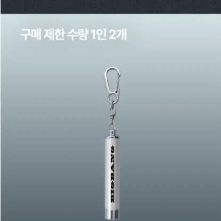[BUNJANG] BIGBANG Taeyang LED Keychain Silver / 빅뱅 태양 LED 키링 실버