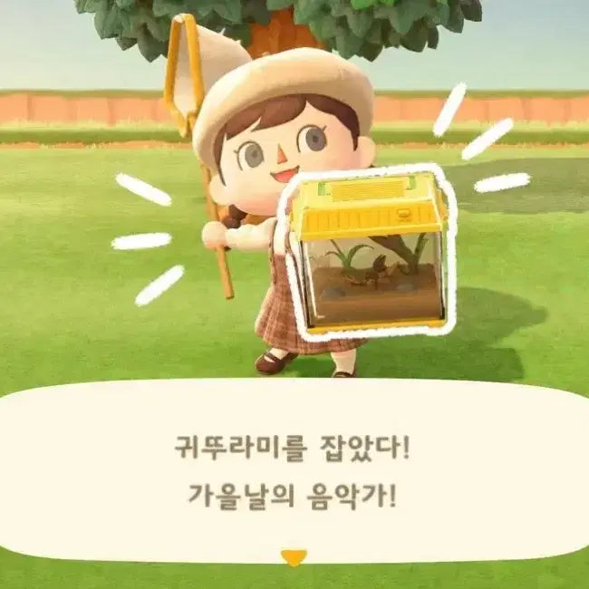 [BUNJANG] Takara Tomy Animal Crossing Chirping Insect Cage Figure / [ 특가 ] TOMY 타카라토미 채집통 피규어 고전완구 동물의숲