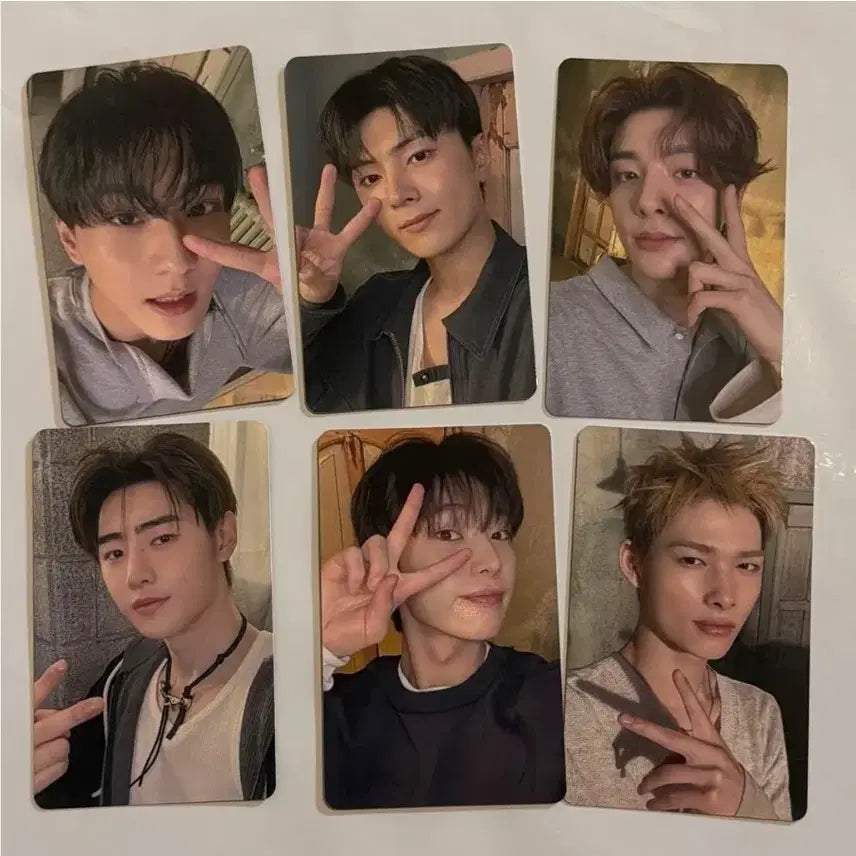 [BUNJANG] ENHYPEN Bliss Japan Weverse POB / 엔하이픈 블리스 재팬 위버스 일반반 특전