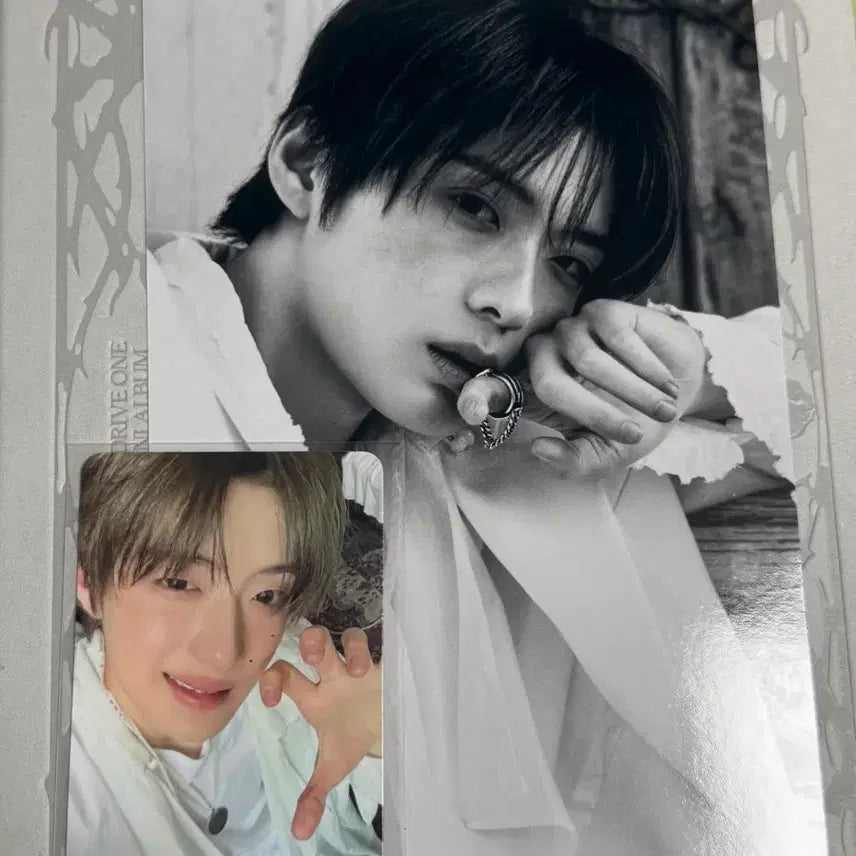 [BUNJANG] Alba Drive One Fragile Beast Ver. Jeong Sang Hyeon Bundle Set / 알파드라이브원 알디원 Fragile Beast ver. 정상현 세트 양도