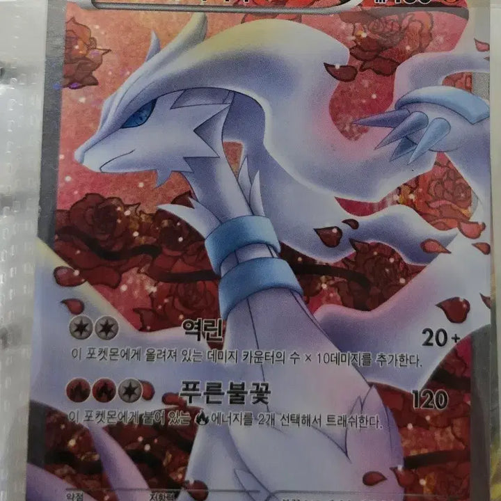 [BUNJANG] Reshiram SR Card / 레시라무 특일 sr
