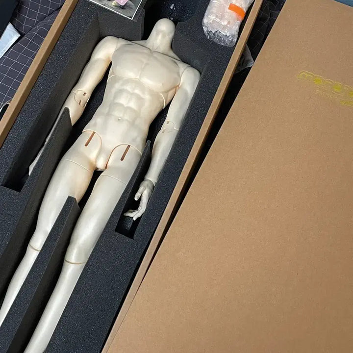 [BUNJANG] Dollyz DAD75 Normal BJD Body / 돌리츠 DAD75 노멀 구체관절인형 바디 양도